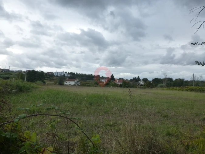 Terreno para Venda em Bela Foto 2
