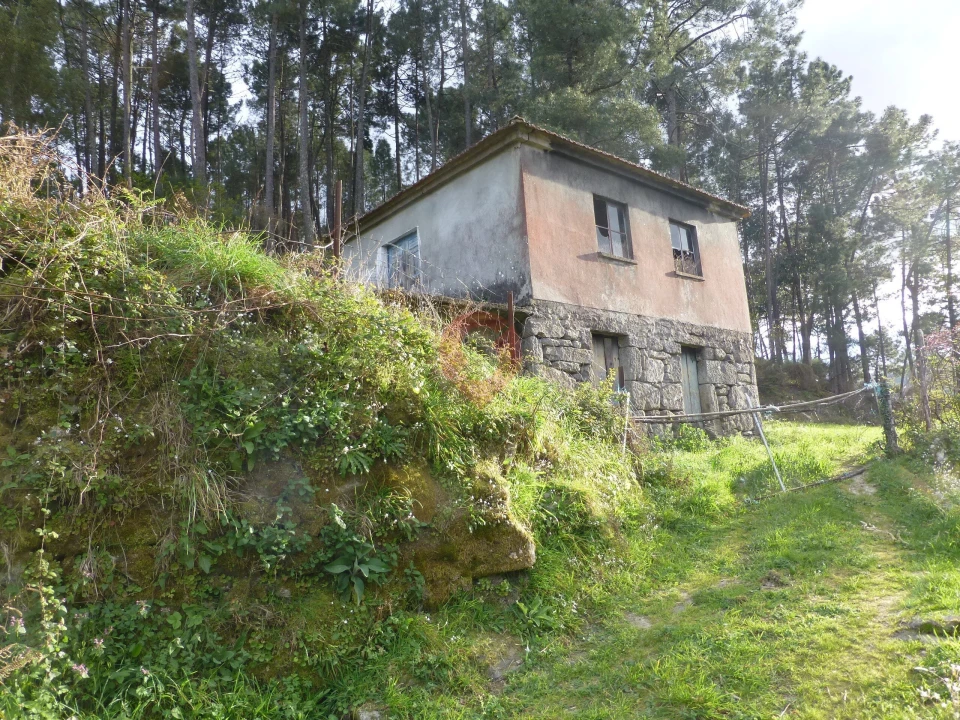 Terreno para Venda em Podame Foto 4