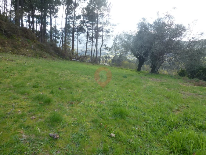 Terreno para Venda em Podame Foto 1