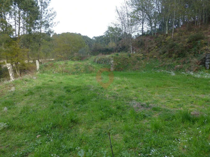 Terreno para Venda em Podame Foto 2