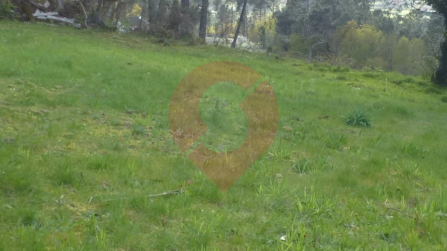 Terreno para Venda em Podame