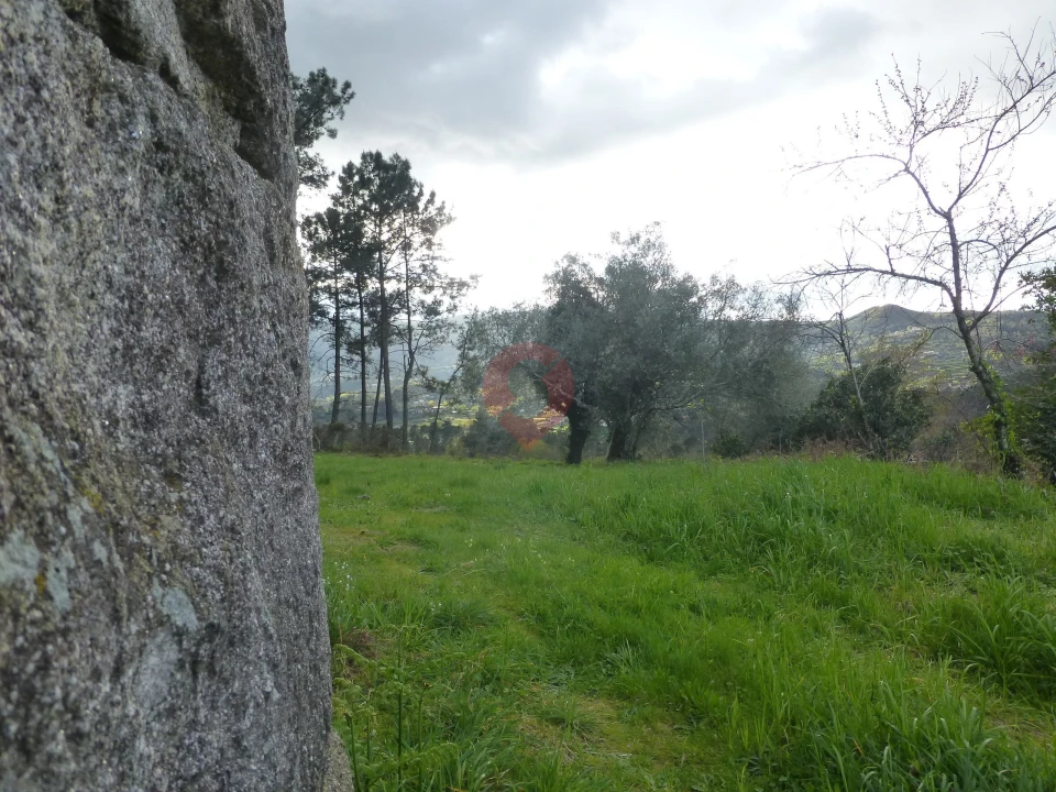 Terreno para Venda em Podame Foto 3