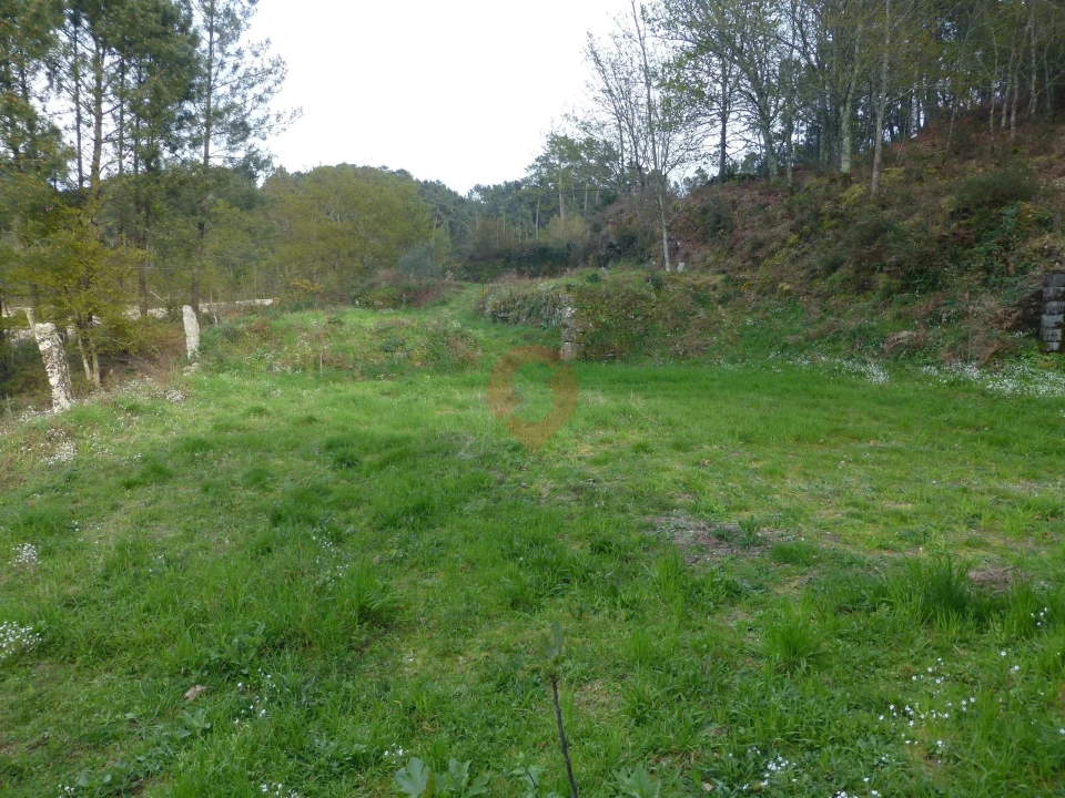 Terreno para Venda em Podame Foto 2