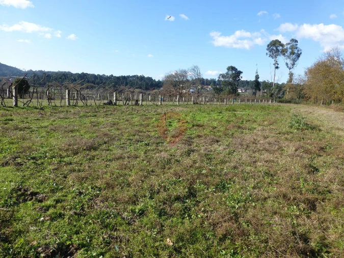 Terreno para Venda em Longos Vales Foto 3