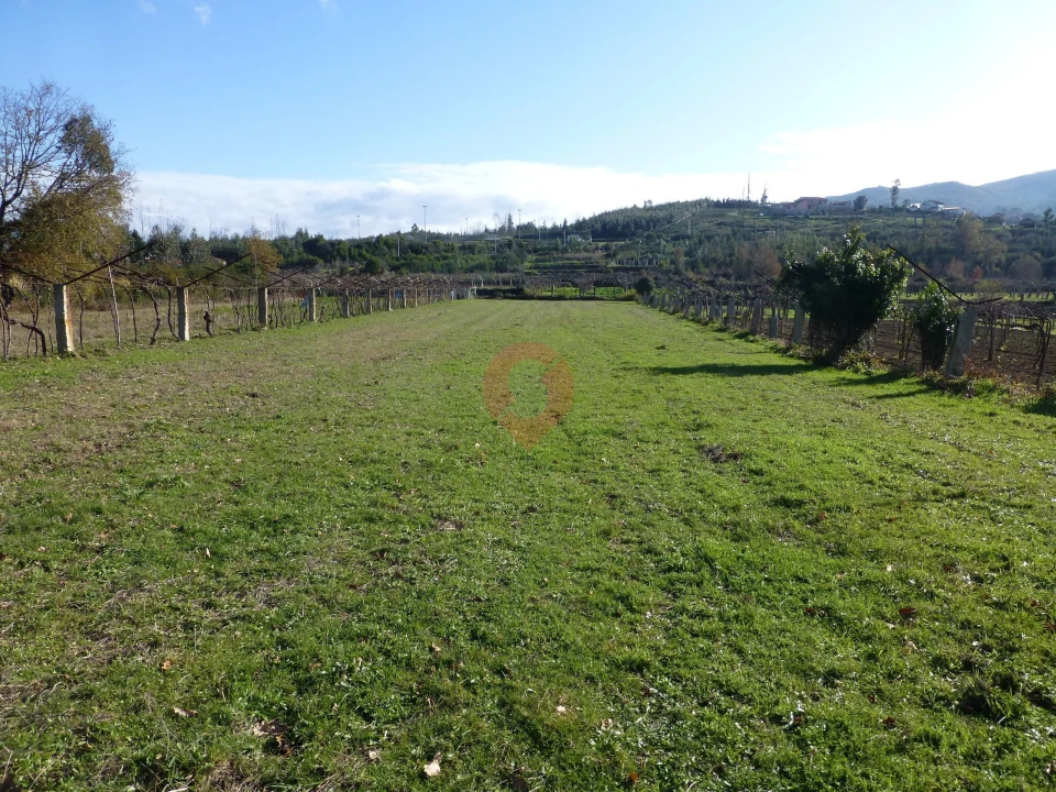 Terreno para Venda em Longos Vales Foto 1