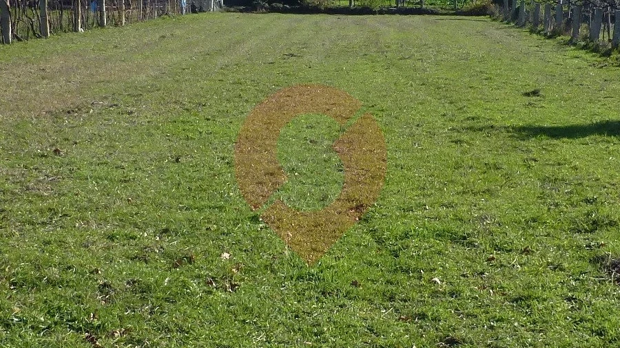 Terreno para Venda em Longos Vales