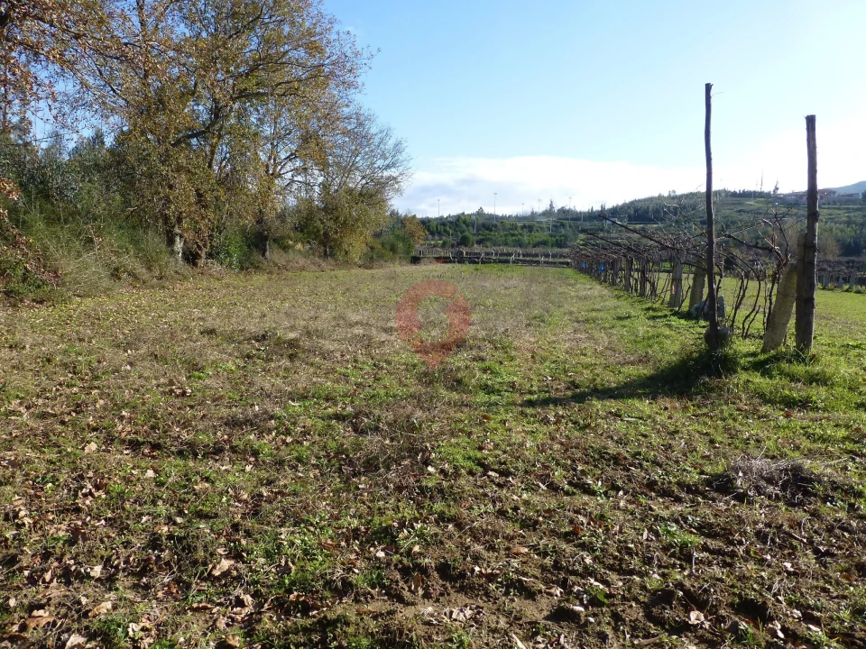Terreno para Venda em Longos Vales Foto 2