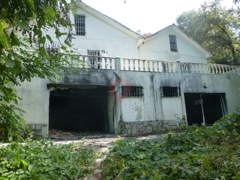 Terreno para Venda em Monção e Troviscoso Foto 2