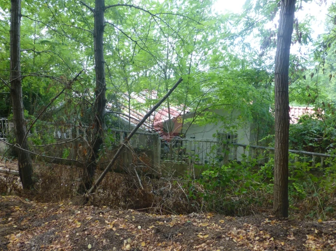 Terreno para Venda em Monção e Troviscoso Foto 8