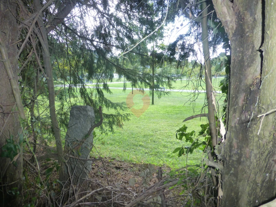 Terreno para Venda em Monção e Troviscoso Foto 5