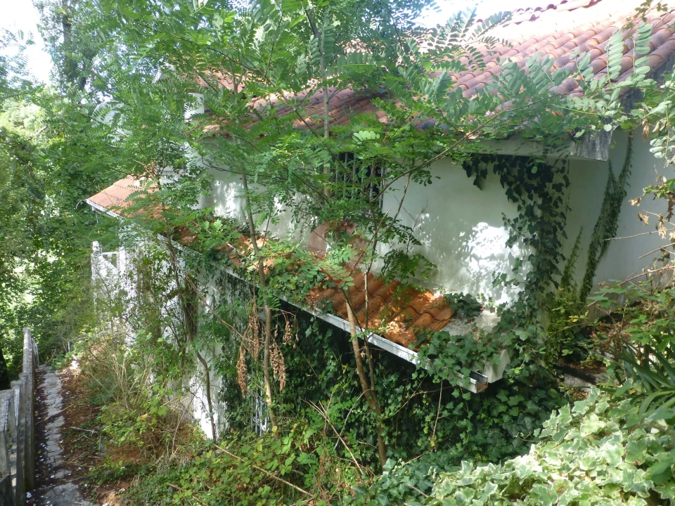 Terreno para Venda em Monção e Troviscoso Foto 4