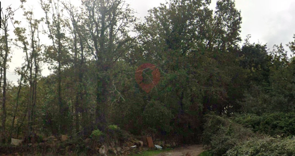 Terreno para Venda em Mazedo e Cortes