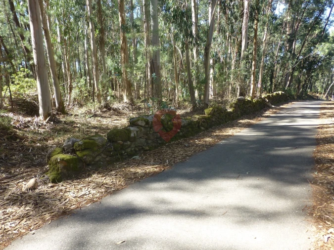 Terreno para Venda em Barbeita Foto 2