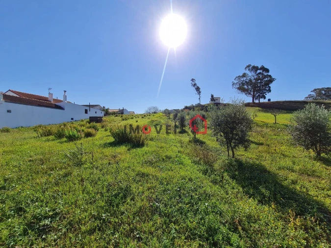 Terreno para Venda em Batalha Foto 4