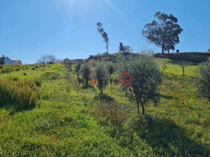 Terreno para Venda em Batalha Foto 3