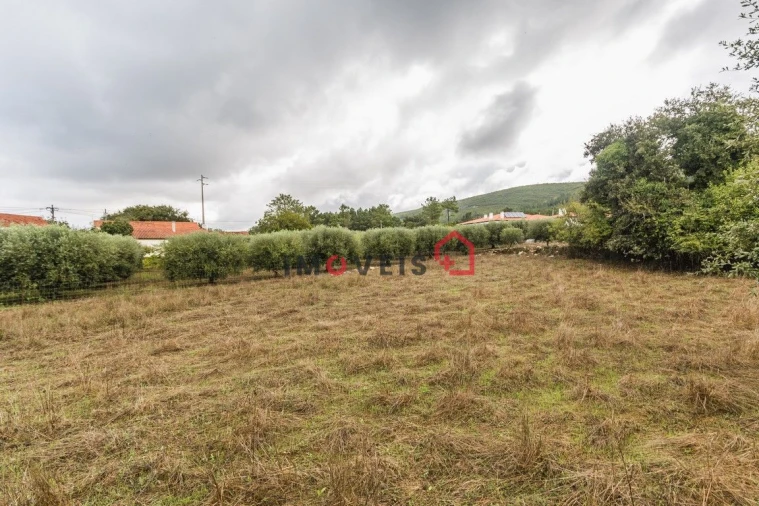 Terreno para Venda em Pedreiras Foto 4