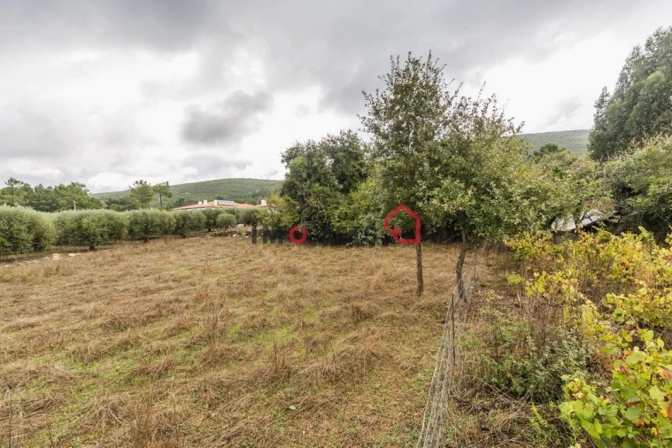 Terreno para Venda em Pedreiras Foto 3