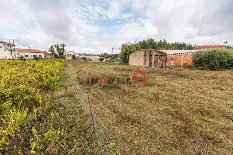 Terreno para Venda em Pedreiras Foto 5