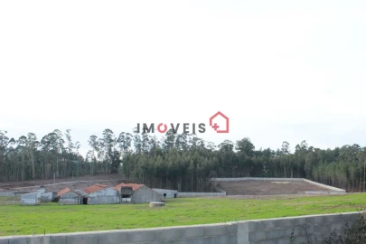 Terreno para Venda em Santa Eufémia e Boa Vista