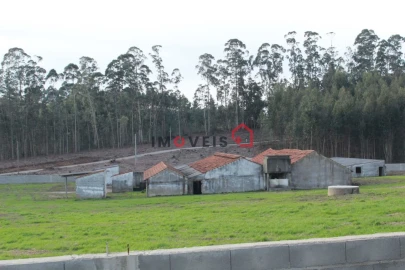 Terreno para Venda em Santa Eufémia e Boa Vista