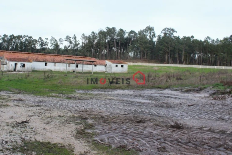 Terreno para Venda em Santa Eufémia e Boa Vista Foto 4