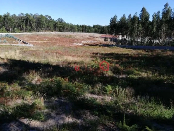 Terreno para Venda em Santa Eufémia e Boa Vista Foto 15