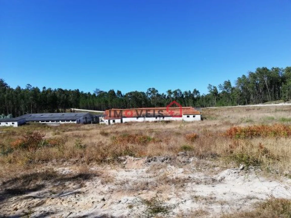 Terreno para Venda em Santa Eufémia e Boa Vista Foto 14
