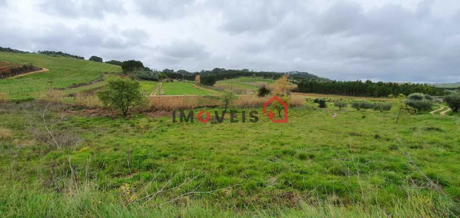 Terreno para Venda em Juncal Foto 6