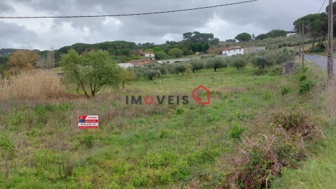 Imagem imóvel