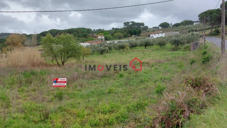 Terreno para Venda em Juncal Foto 4