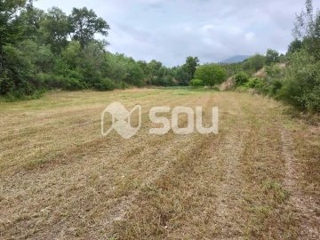 Terreno para Venda em Mirandela
