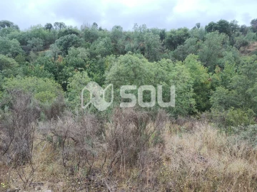 Terreno para Venda em Mirandela