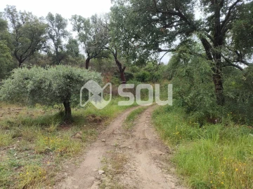 Terreno para Venda em Mirandela