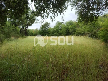 Terreno para Venda em Mirandela