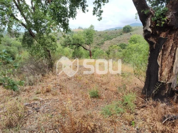 Terreno para Venda em Mirandela