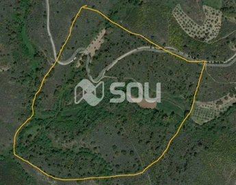 Terreno para Venda em Mirandela
