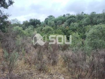 Terreno para Venda em Mirandela