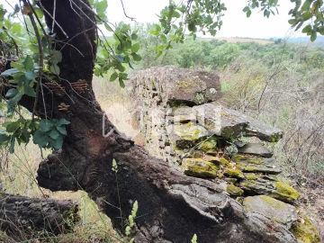 Terreno para Venda em Mirandela