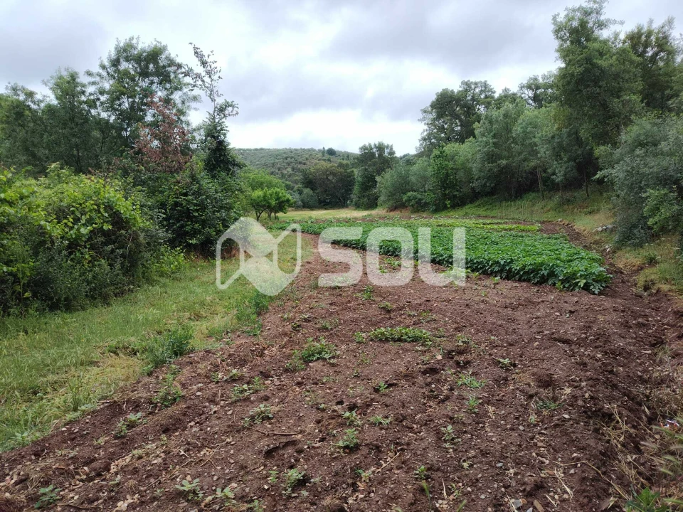 Terreno para Venda em Mirandela Foto 13