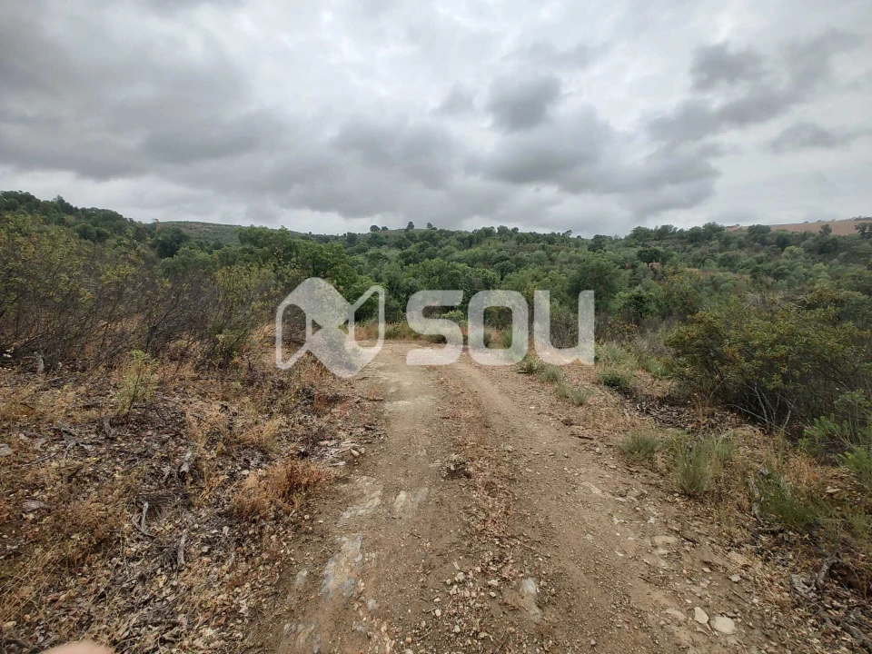 Terreno para Venda em Mirandela Foto 3