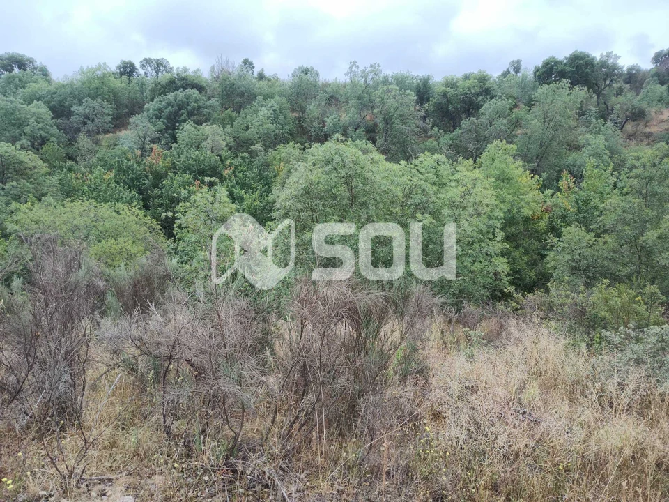 Terreno para Venda em Mirandela Foto 18
