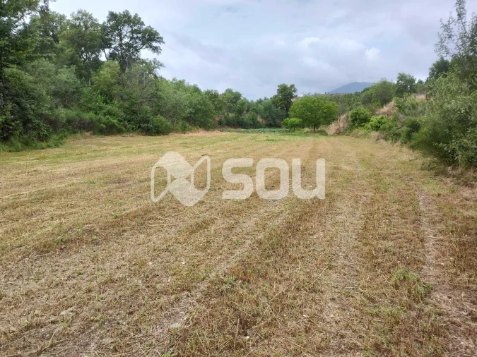 Terreno para Venda em Mirandela Foto 14