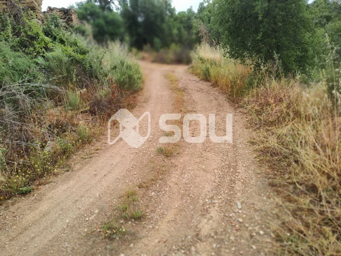 Terreno para Venda em Mirandela Foto 5