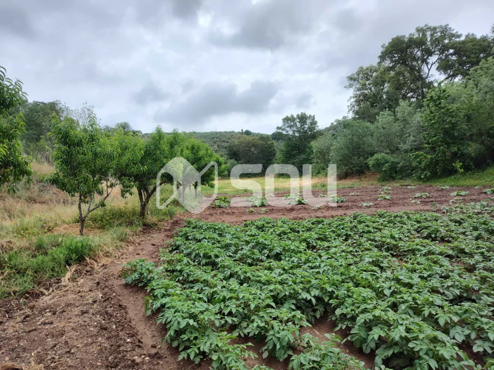 Terreno para Venda em Mirandela Foto 15