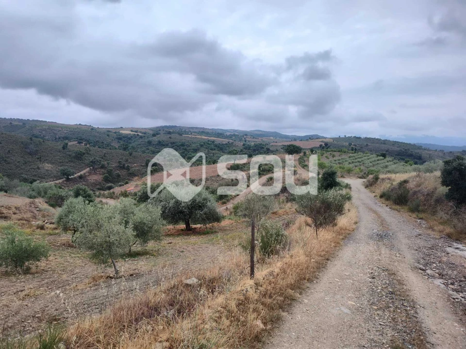 Terreno para Venda em Mirandela Foto 6
