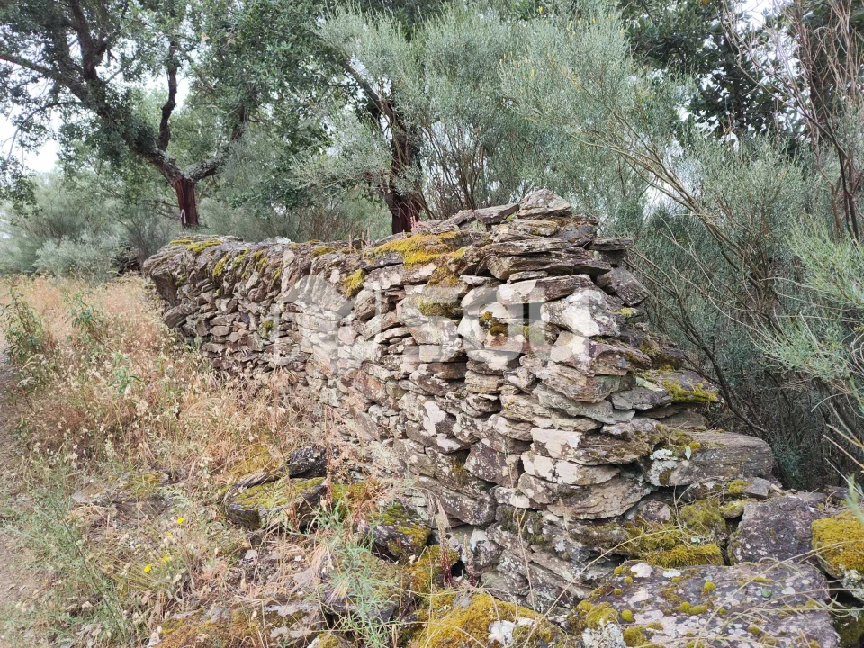 Terreno para Venda em Mirandela Foto 10