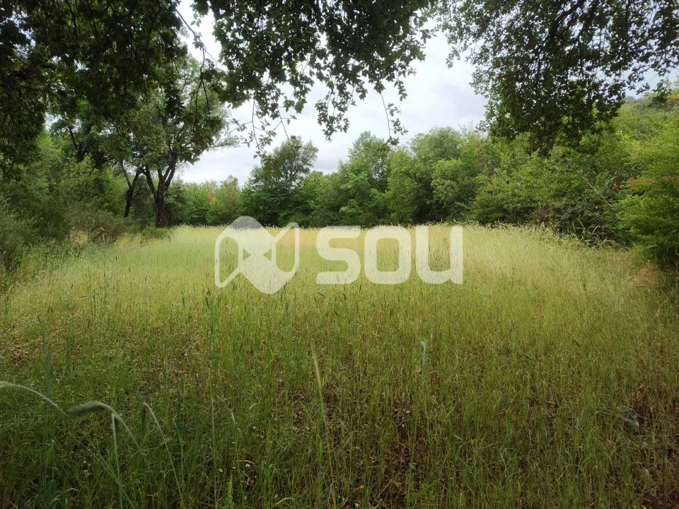 Terreno para Venda em Mirandela Foto 16