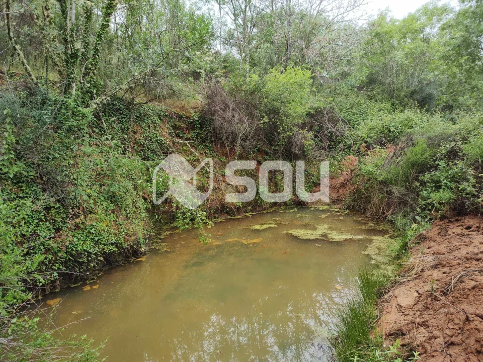 Terreno para Venda em Mirandela Foto 11