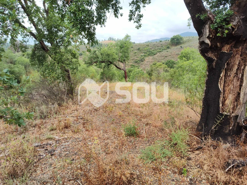 Terreno para Venda em Mirandela Foto 12