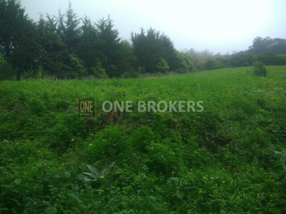 Terreno para Venda em Colares Foto 2